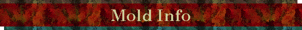 Mold Info